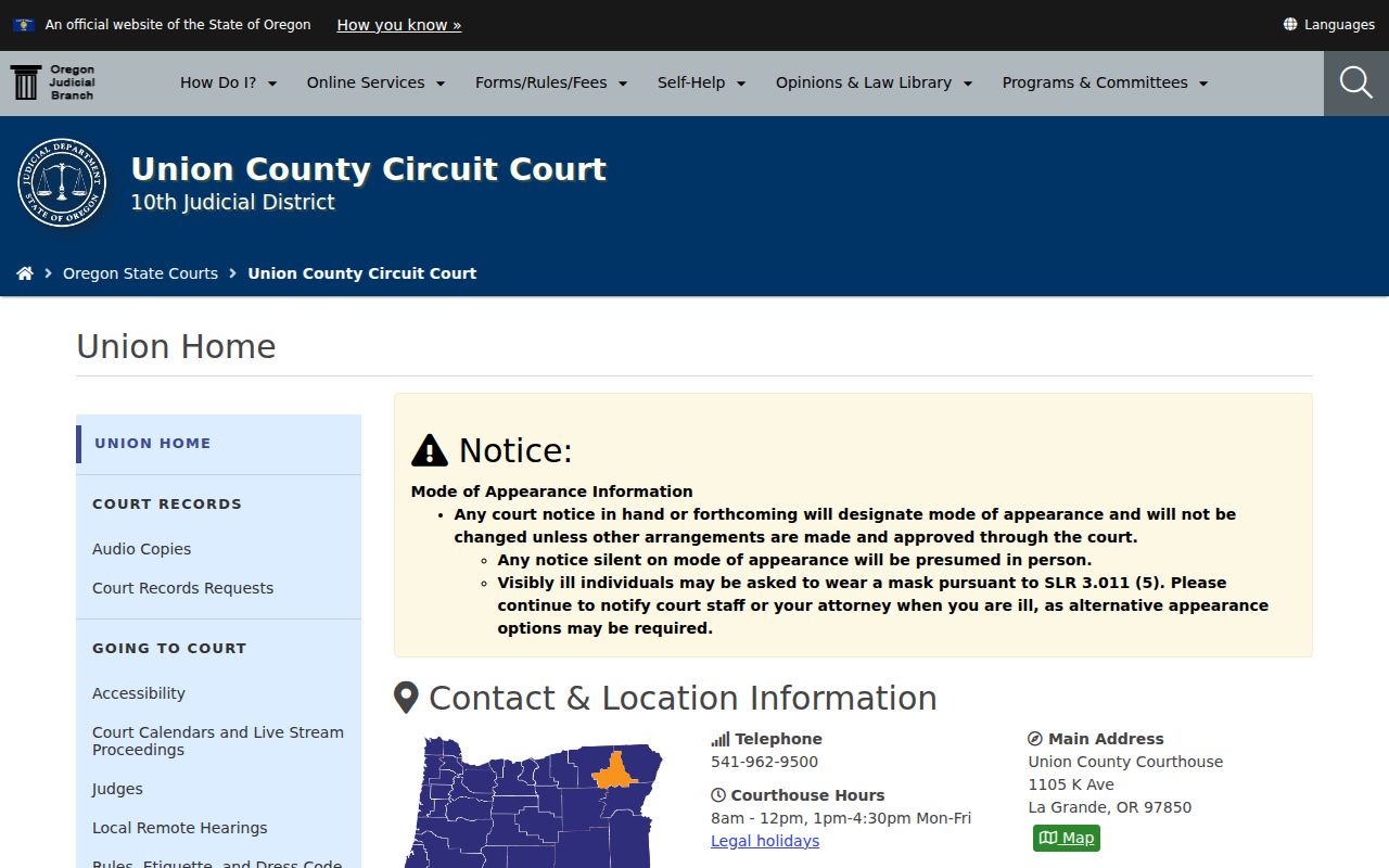 Union County criminal court case information from the circuit court
