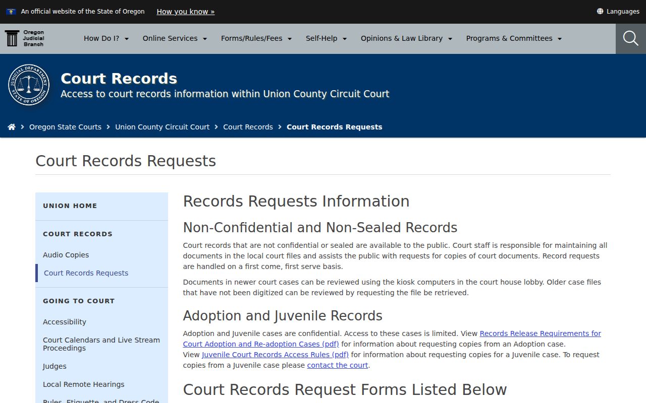 Union County criminal court records request page