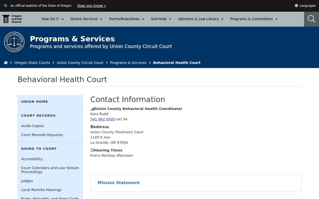 Union County criminal court Behavioral Health Court program